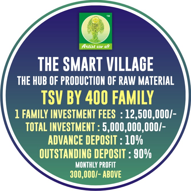 The Smart Village