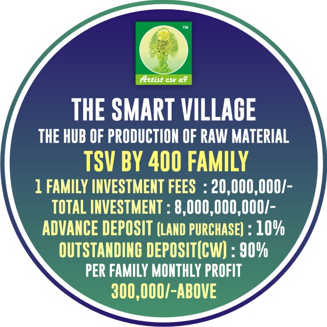 The Smart Village