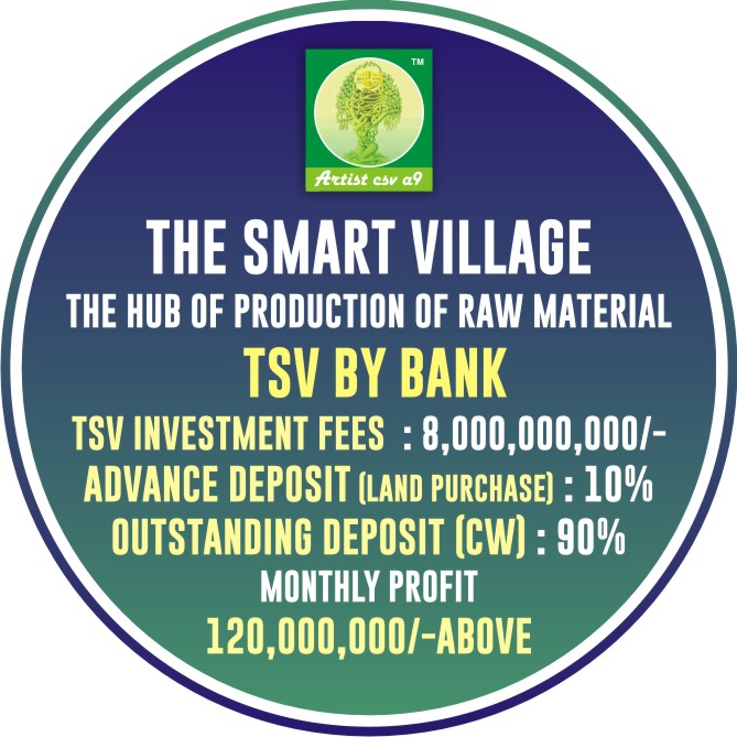 The Smart Village
