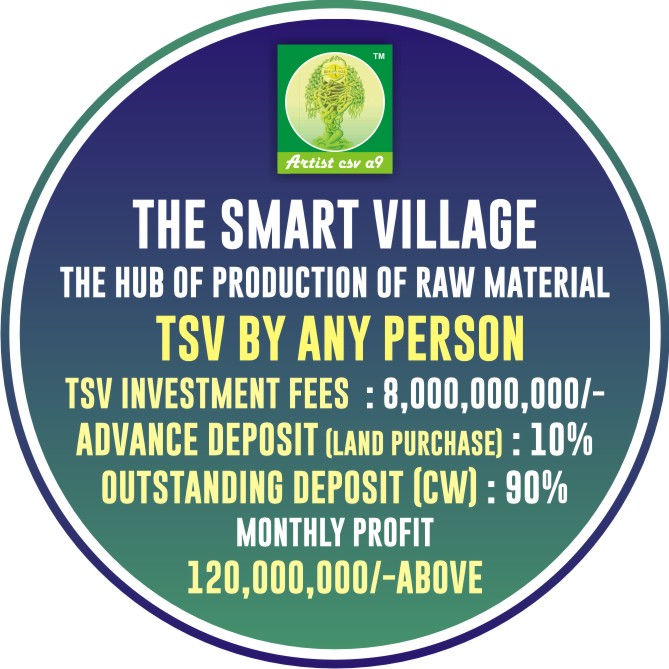 The Smart Village